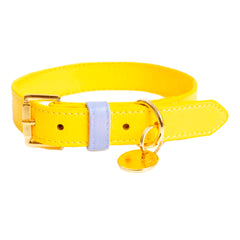 COLLAR DE CUERO BANANA/PURPLE