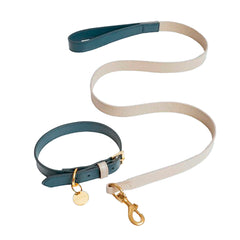 SET COLLAR TAUPE/NAVYBLUE & CORREA TAUPE/NAVYBLUE