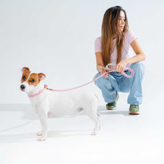 SET COLLAR PINKBLUSH/CREAM & CORREA PINKBLUSH/CREAM