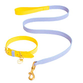 SET COLLAR PURPLE/BANANA & CORREA PURPLE/BANANA