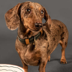 COLLAR DE CUERO KIWI/COCONUT