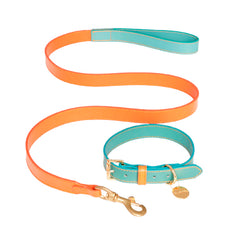 SET COLLAR AQUAMARINE/PAPAYA & CORREA PAPAYA/AQUAMARINE