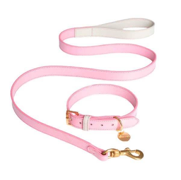 SET COLLAR PINKBLUSH/CREAM & CORREA PINKBLUSH/CREAM