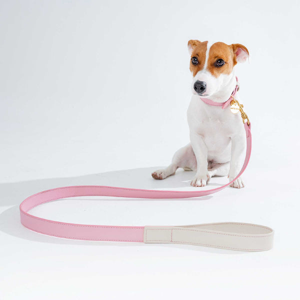 SET COLLAR PINKBLUSH/CREAM & CORREA PINKBLUSH/CREAM