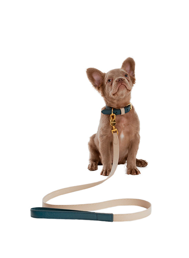 COLLAR DE CUERO NAVY/TAUPE