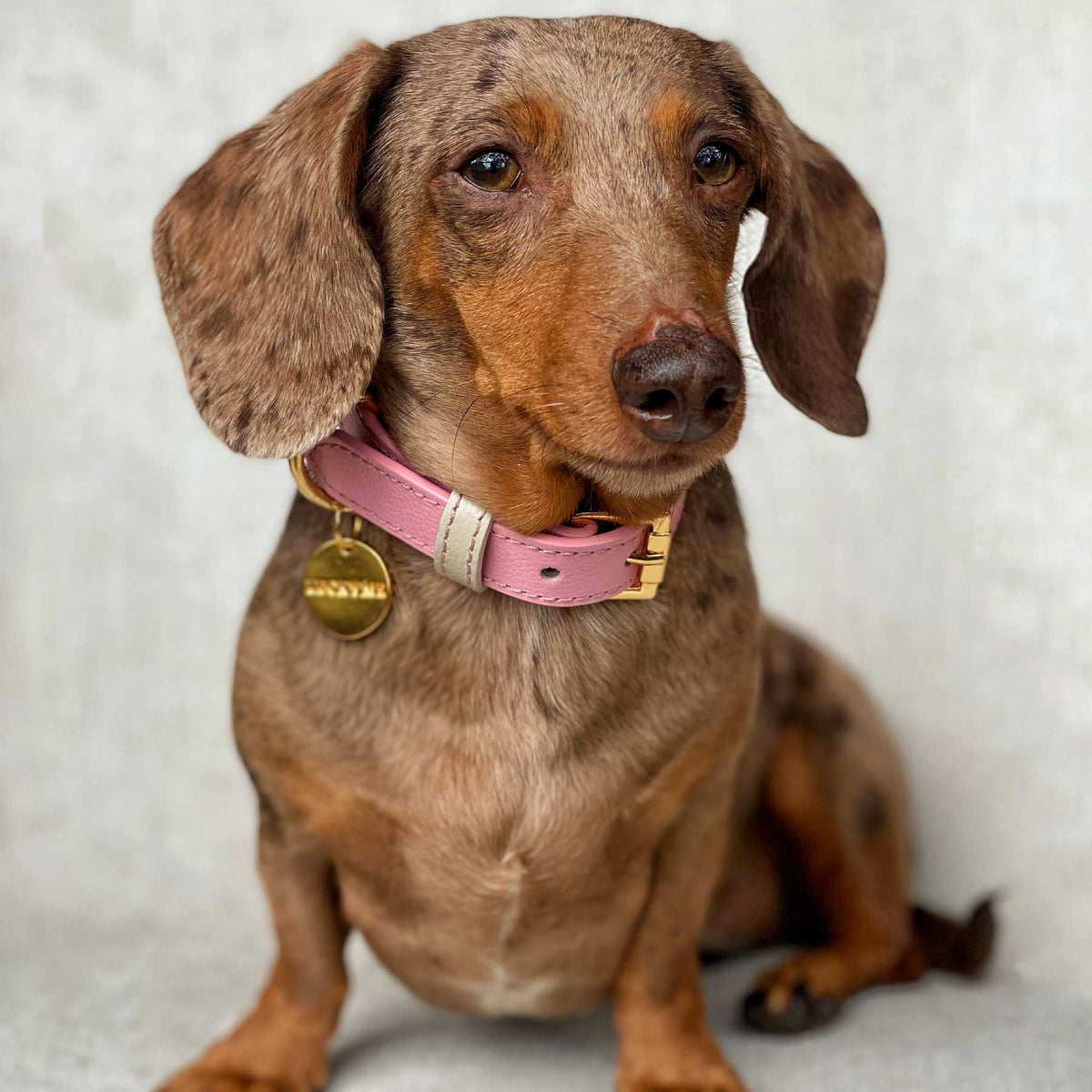 COLLAR DE CUERO PINKBLUSH/CREAM