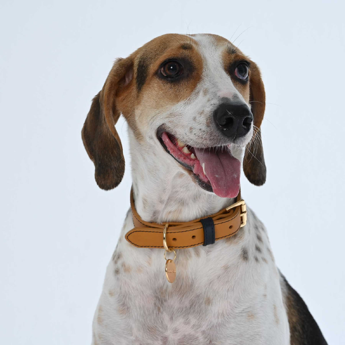 COLLAR DE CUERO COCONUT/BLUEBERRY