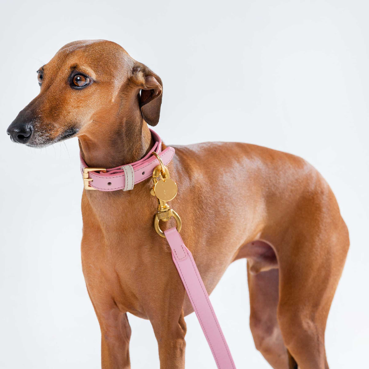 COLLAR DE CUERO PINKBLUSH/CREAM