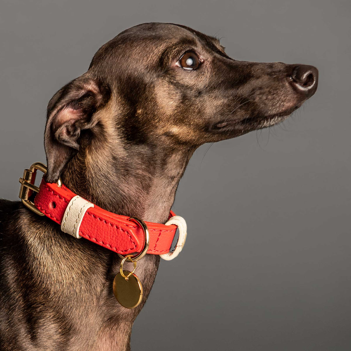 COLLAR DE CUERO CHERRY/CREAM