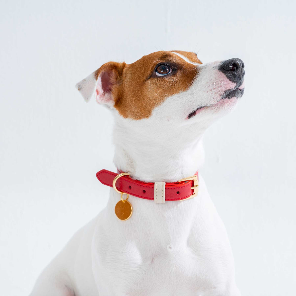 COLLAR DE CUERO CHERRY/CREAM