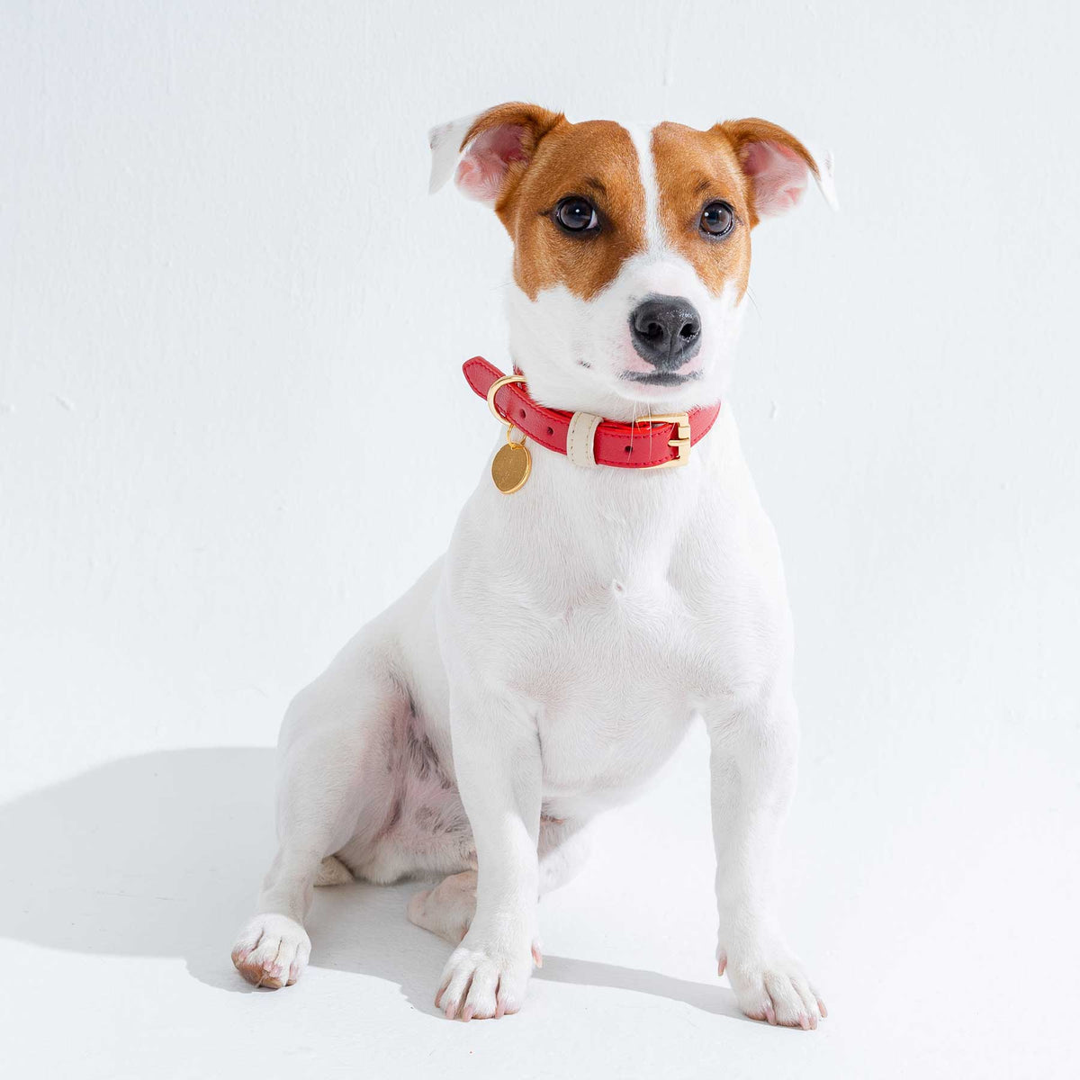 COLLAR DE CUERO CHERRY/CREAM