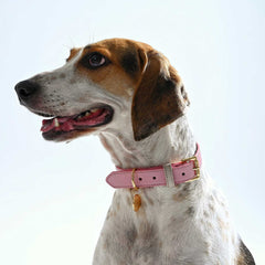 COLLAR DE CUERO PINKBLUSH/CREAM