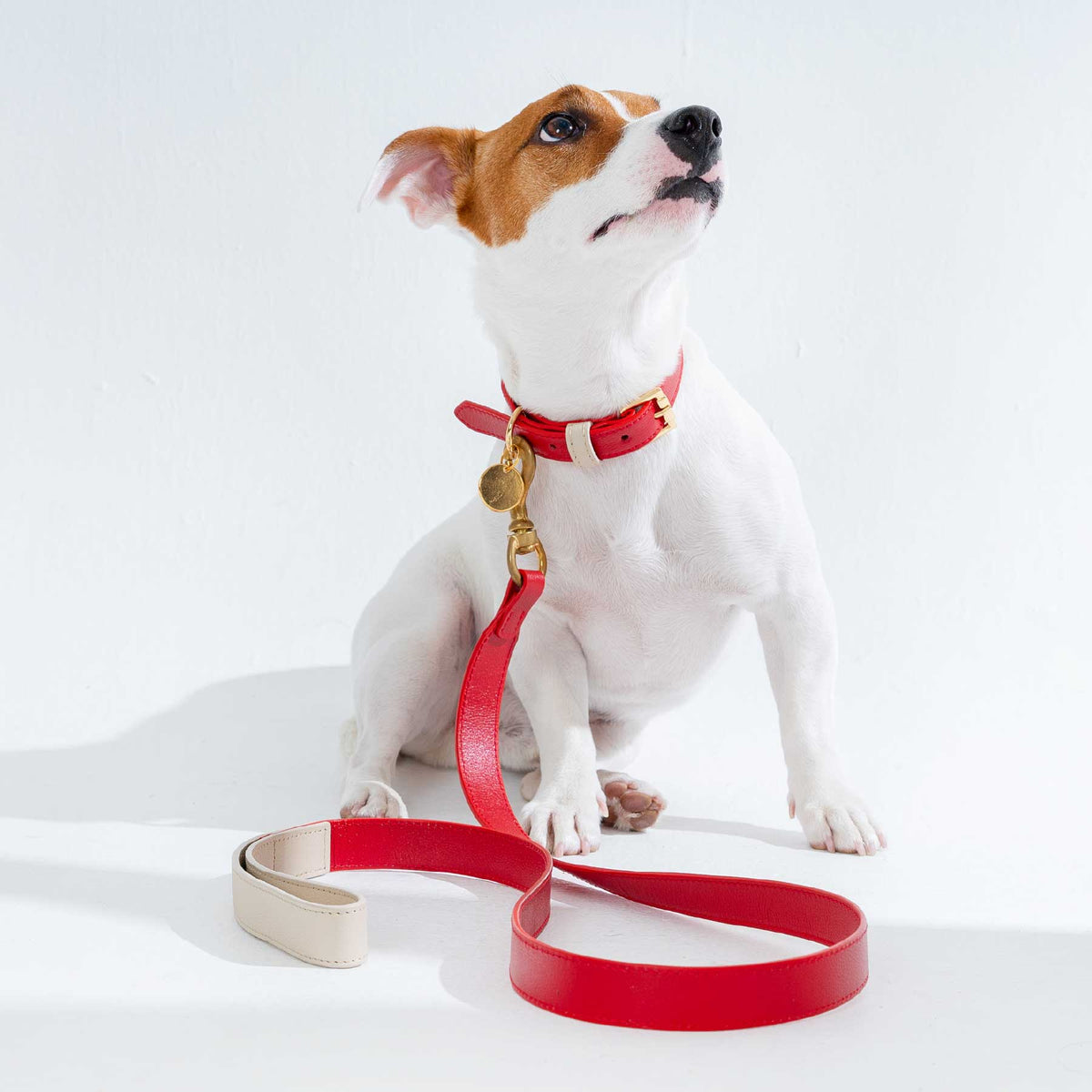 COLLAR DE CUERO CHERRY/CREAM